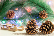 Fresh Pines for Holiday Decor: A Natural Touch for the Festive Season