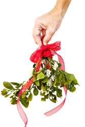 The Magic of Fresh Mistletoe: Bringing Holiday Cheer to Life