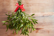 ​Live Mistletoe for a Decorative Pop This Holiday Season