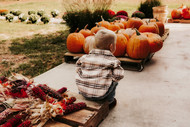 Getting Your Garden Ready for Autumn