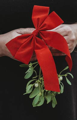 Red bow sprig and guaranteed Christmas delivery! Red bow sprig and guaranteed Christmas delivery!