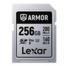 256GB SDXC Memory Card - 1