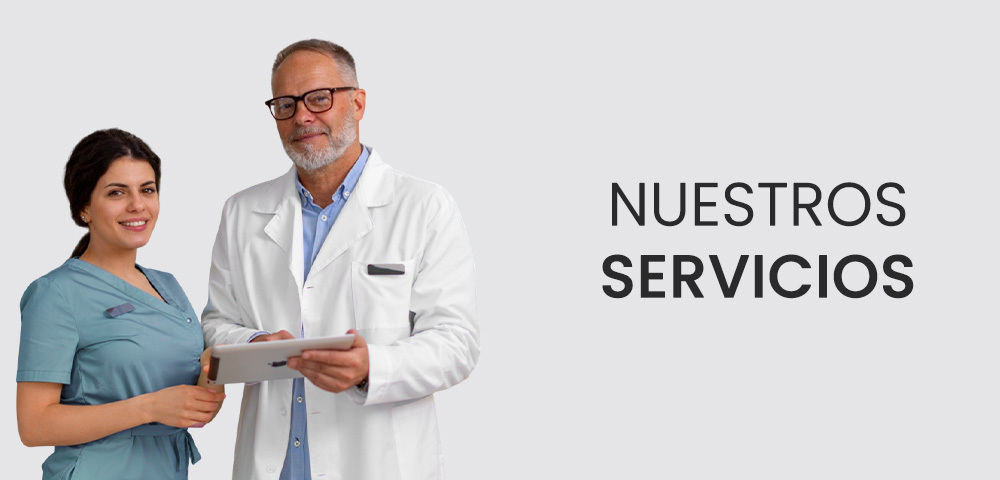 Consulta nuestro stock y precios