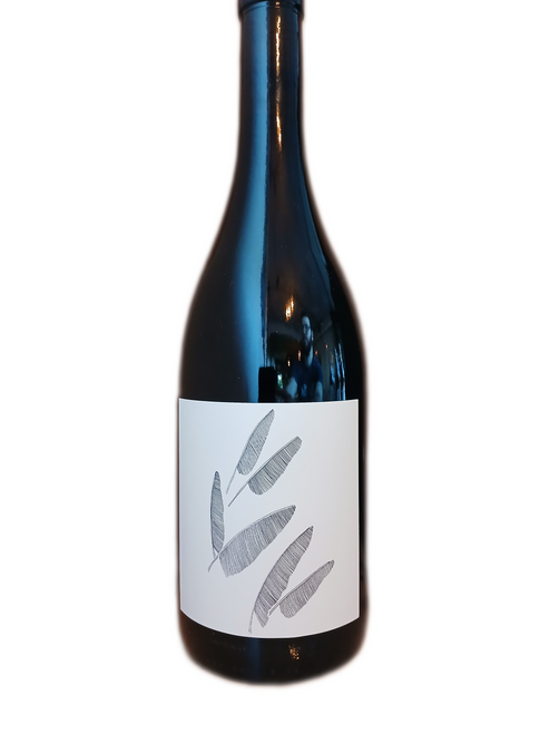 Broc Wirth Zinfandel | Red Wine