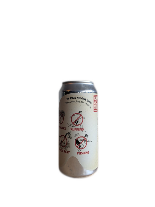 Sureshot | In 1975 No One Died | Pale Ale 4.5% 440ml