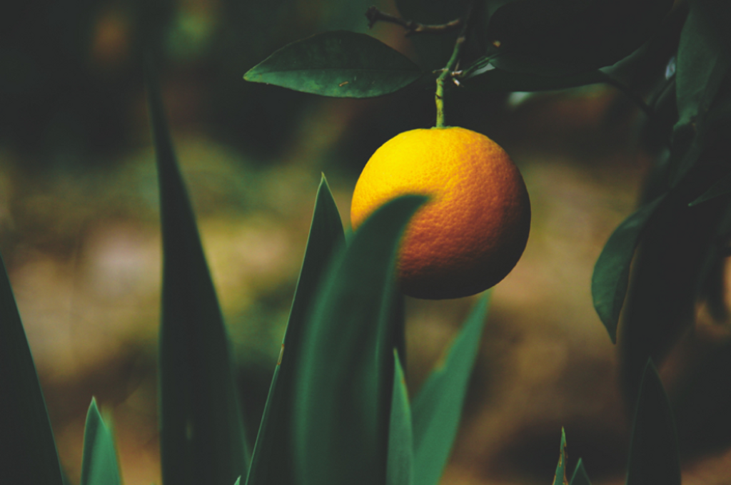 Your second blog!