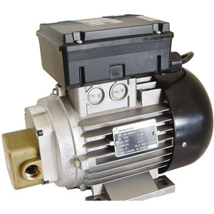 Gespasa Oil Pump Gespasa Oil Pump