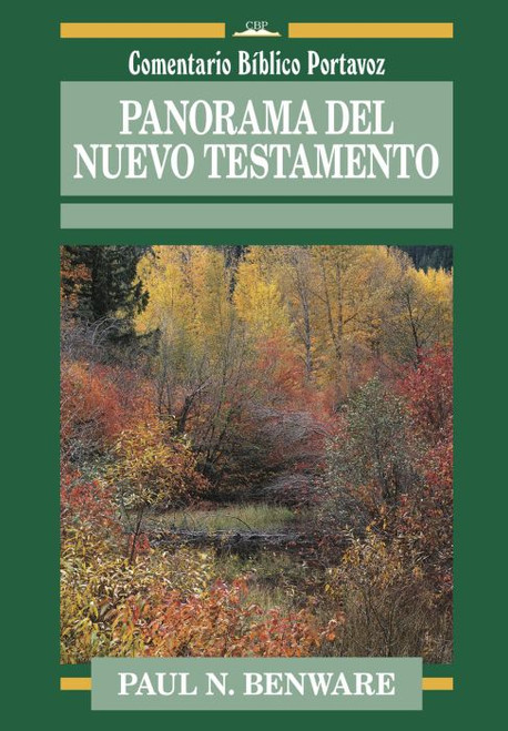 Panorama del Nuevo Testamento.