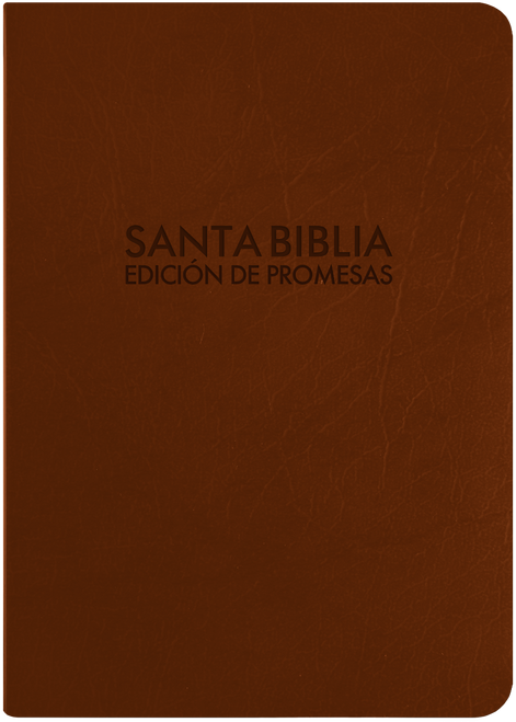 Biblia De Promesas, Tamano Compacta Con Indice y Cierre RVR60 | Piel Especial Cafe