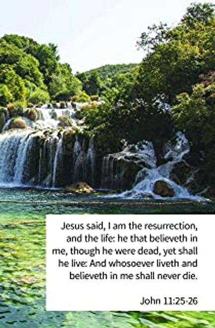 I am The Resurrection, John 11: 25-26 | Bulletin