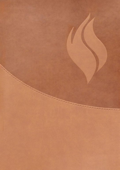 Biblia de Estudio Vida Plena - Ampliada y Actualizada, Imitación piel marrón