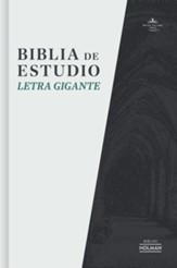 Biblia de estudio letra gigante RV1960, Simil Piel Gris