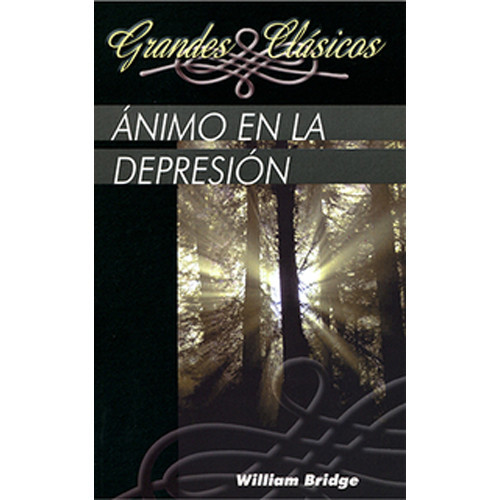 Animo En La Depresion