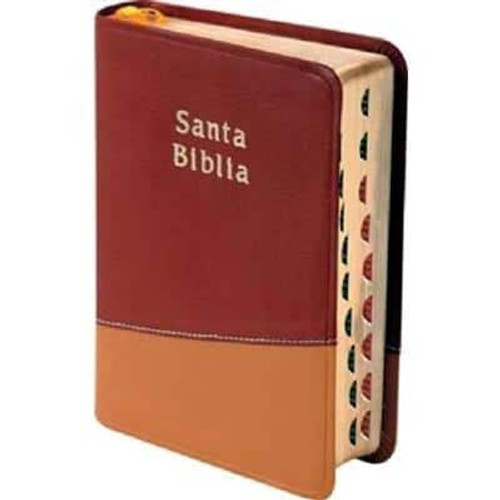 Biblia Tamano Compacta Letra 8 Pts. Con Indice RVR 1960 | Imitacion Piel Rojo-Mostaza