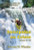 Intrepidos en Cristo,  (Hechos 13-28)  WARREN WIERSBE