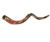 Shofar Yemenite Mediano (32"-35") #1114