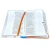 Biblia Servidores RVC, Simil Piel Colores