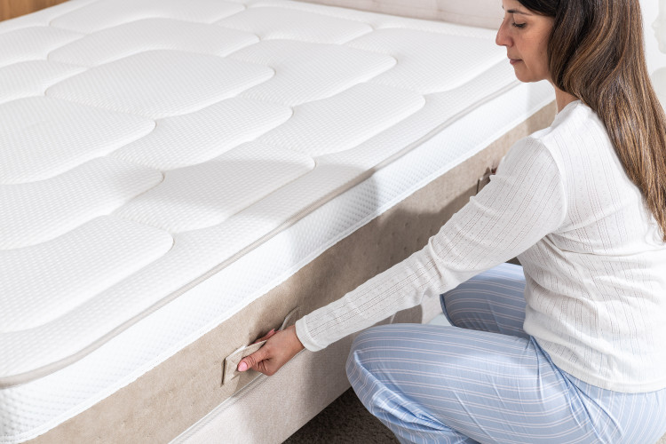 Colchones y alergias: cómo elegir el modelo adecuado y evitar los ácaros del polvo