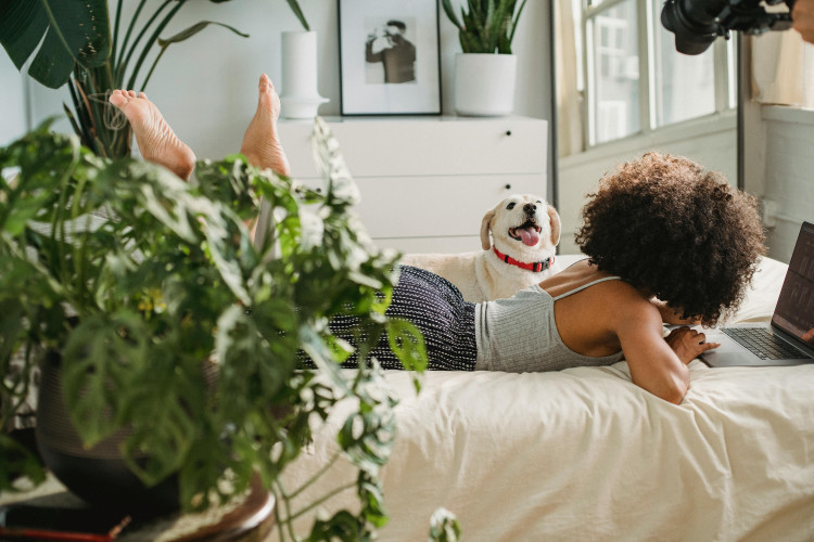 Dormir avec un animal de compagnie : avantages et risques