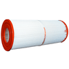 Darlly 50251 Replacement Filter Cartridge for Unicel C-5625