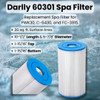 Darlly 60301 Infographic and Filter Dimensions
