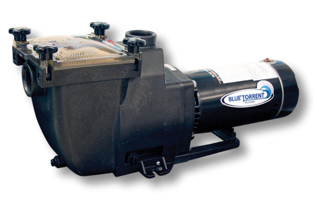 Blue Torrent Typhoon 1.5 HP 48-Frame Inground Swimming Pool Pump