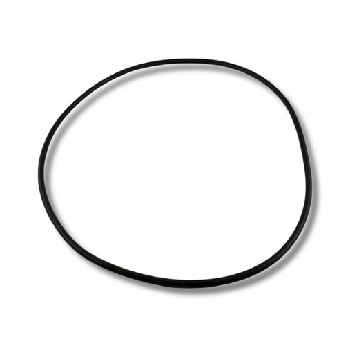 Waterway Plastics 805-0460B Bagged Lid O-Ring for ClearWater II Cartridge & D.E. Filter