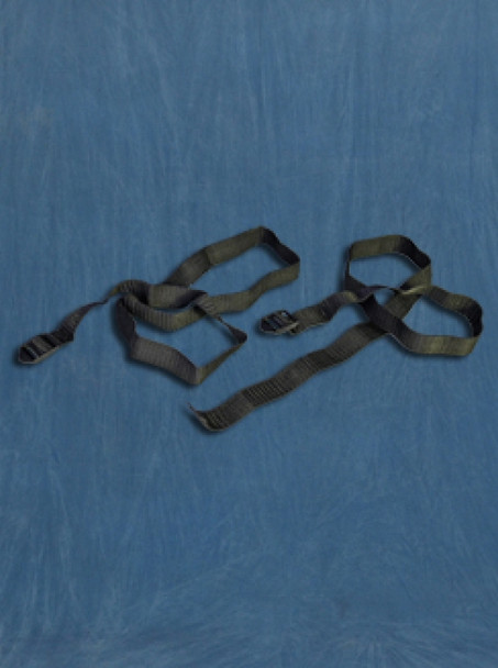 Secure Straps for Main Access Pool Entry System