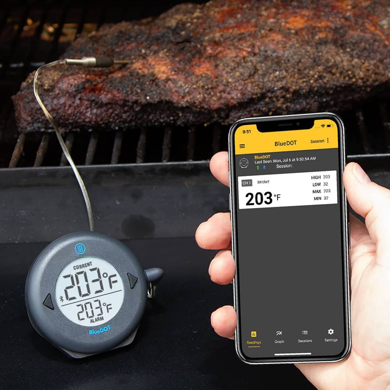 Nibble Me This: Product Review: Thermoworks DOT Remote Probe Thermometer