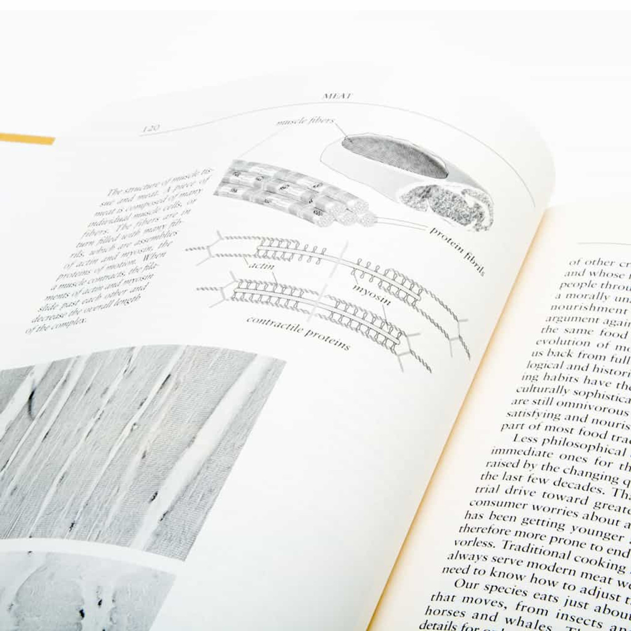 On Food and Cooking The Science and Lore of the Kitchen