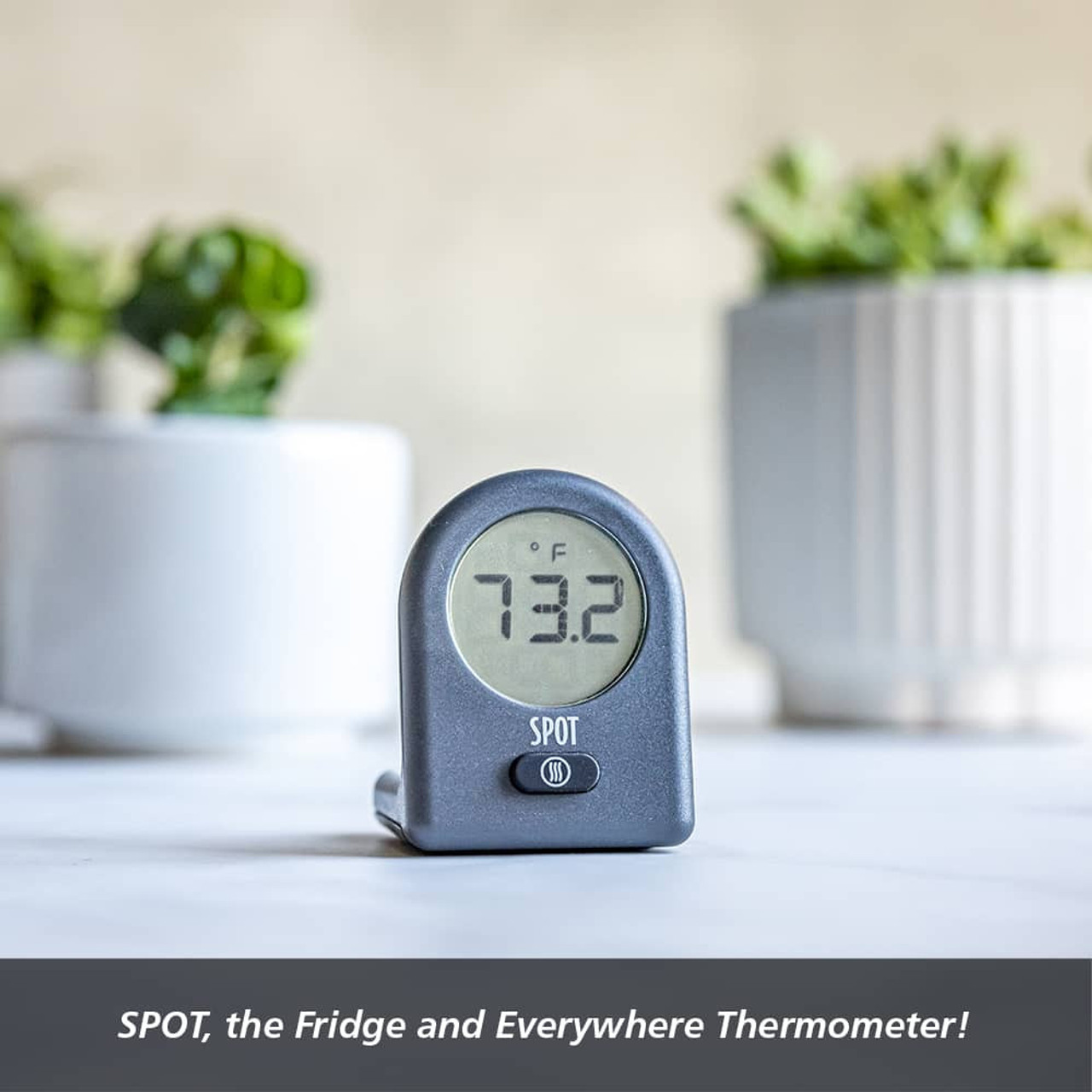 SPOT - The Fridge & Everywhere Thermometer
