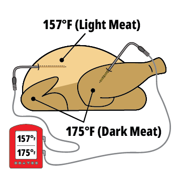 https://cdn11.bigcommerce.com/s-2mj19jirgg/images/stencil/original/image-manager/turkey-hq-illustrations-light-dark-meat.png?t=1696889834