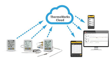 Thomas-4306 Traceable Dual Thermometer, with 2 Bottle Probes, -58 to 158  degree F