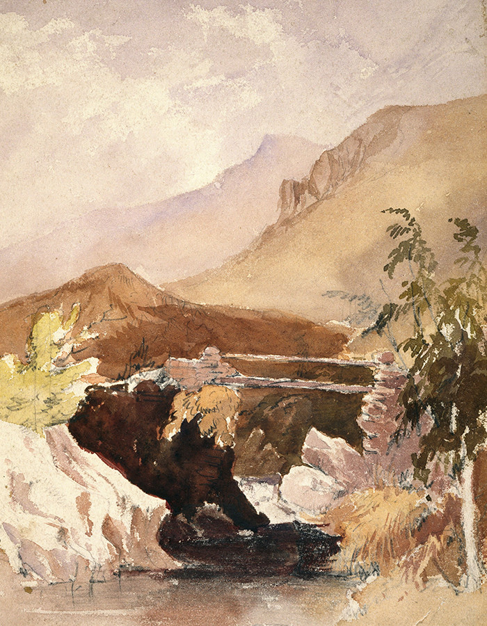 hasellus vel nisi at ligula malesuada sodales