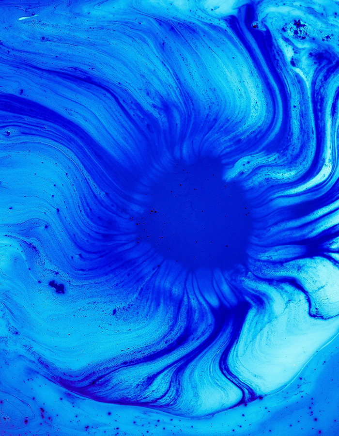 hasellus vel nisi at ligula malesuada sodales