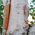 HIMALAYAN WHITE BIRCH Betula utilis (jacquemontii)