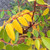 PURPLE WISTERIA (Wisteria frutescens) "Amethyst Falls"