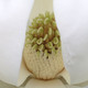 SOUTHERN MAGNOLIA Magnolia grandiflora (Brackens Brown Beauty)