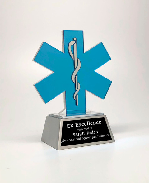 ER Excellence Award