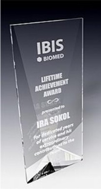 Tri-Panel Crystal Award