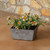 Ella Low Square Planter