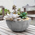 Napa Bowl Planter