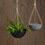 Napa Hanging Bowl Planter