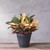 Cali Round Planter