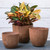 Fiji Round Planter Set