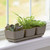 Majestic Trio Planter