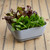 Majestic Garden Planter