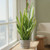 Majestic Low Profile Cylinder Pot