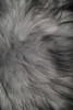 15" x 15" x 2" Metallic Silver Sheepskin Square - Chair Pad