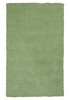 5'x7' Spearmint Green Indoor Shag Rug
